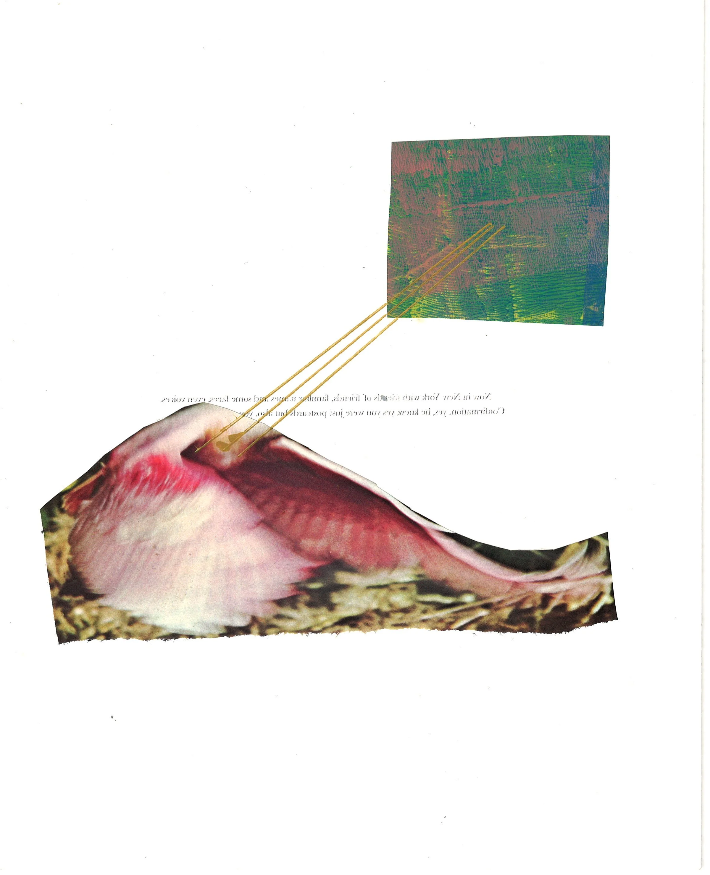 
"If you're not careful, someone will love you"