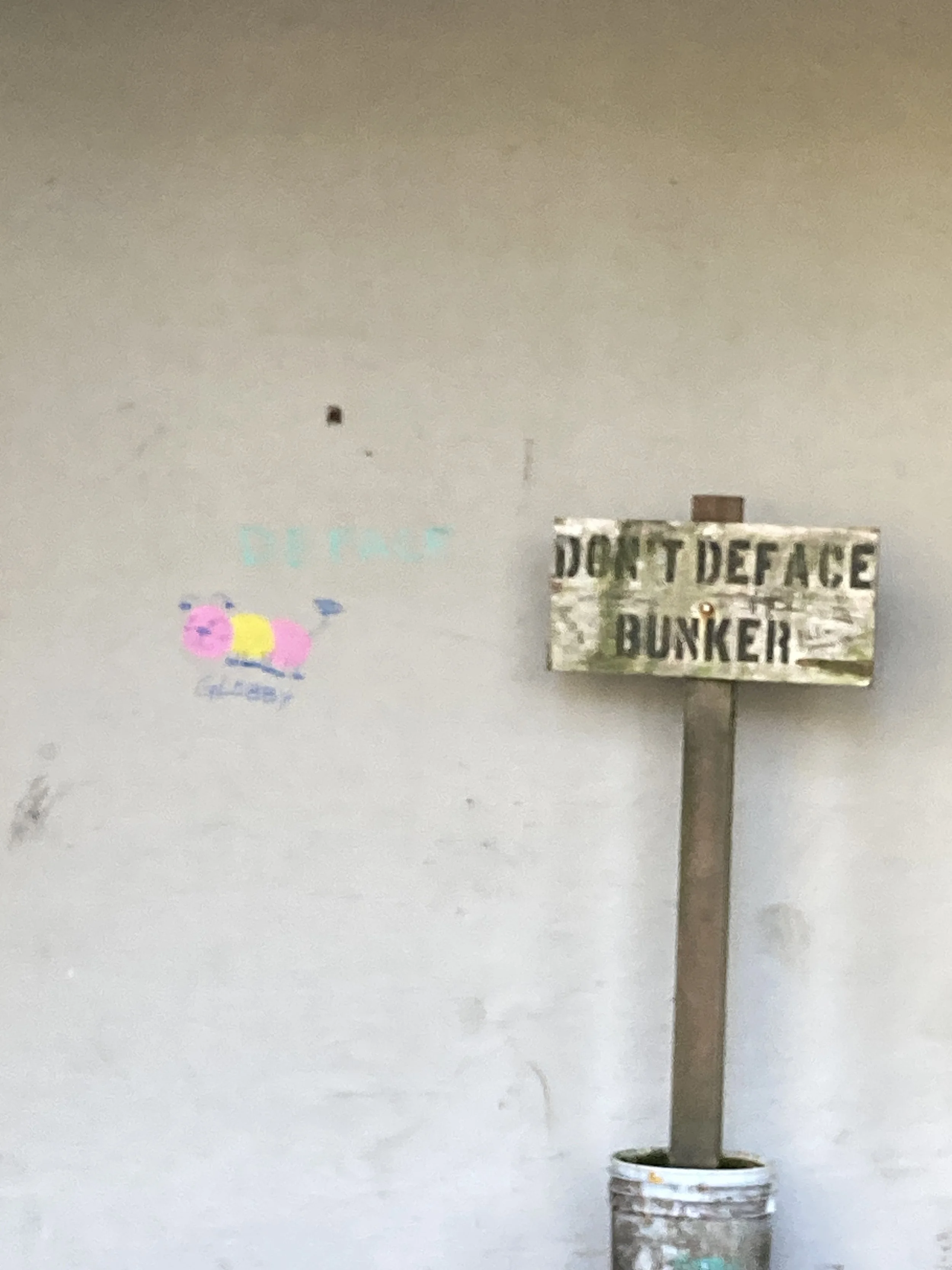 IMG_7908.jpeg