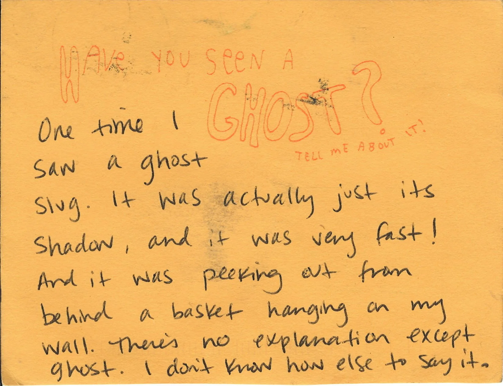 Scan 26.jpeg