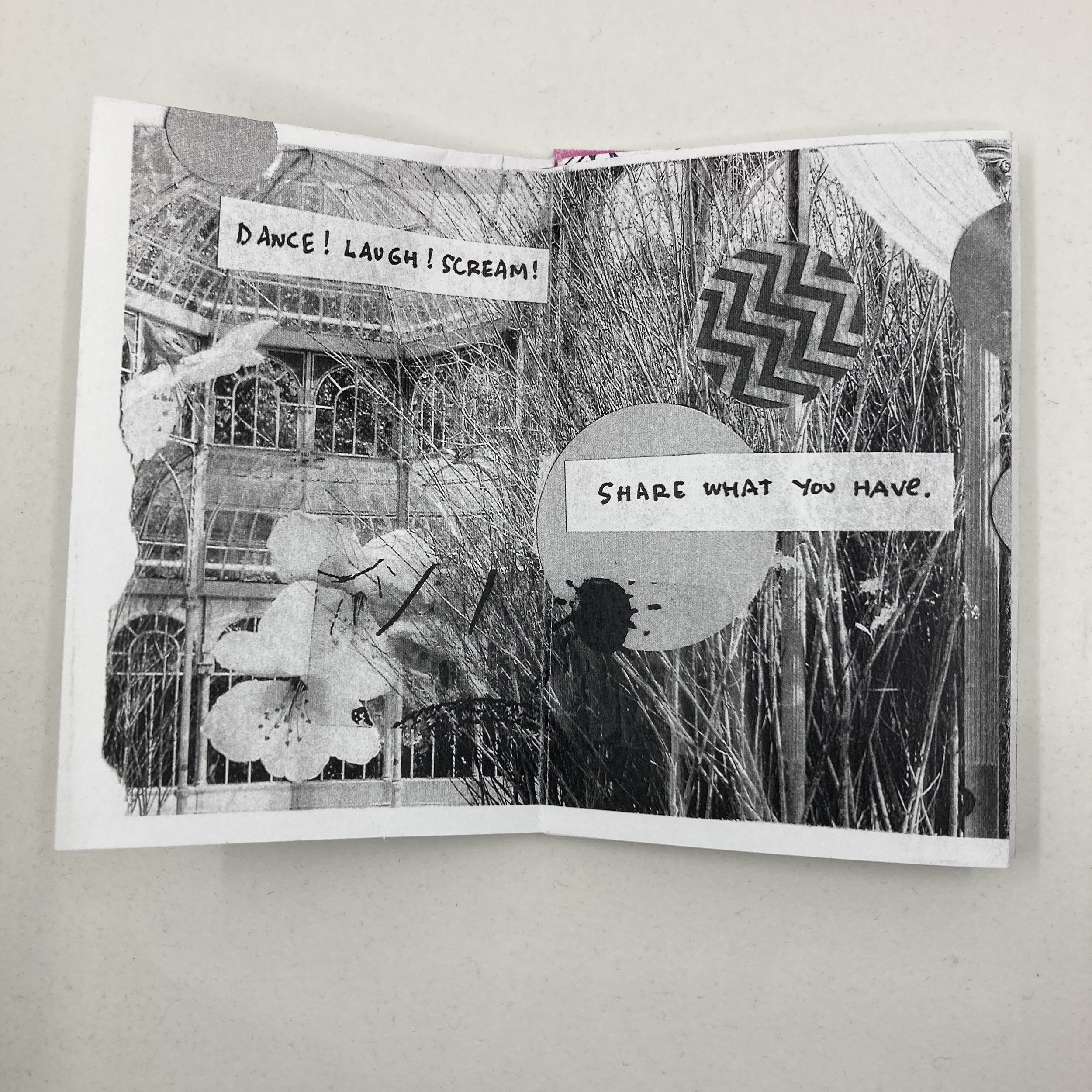 092528FE-2A5F-4BE8-A0DF-203184C08132_1_201_a.jpeg