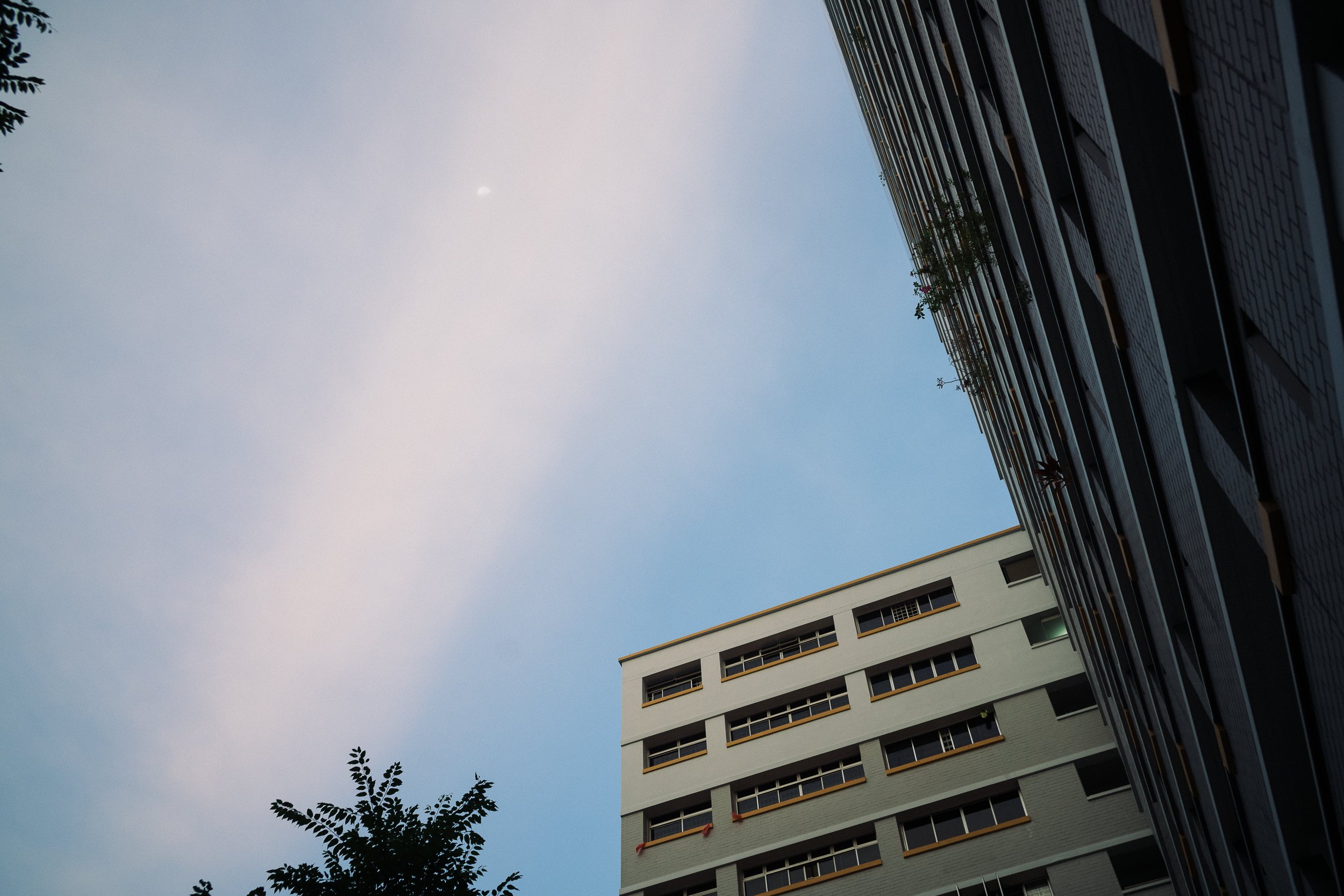 DSC09861.jpg