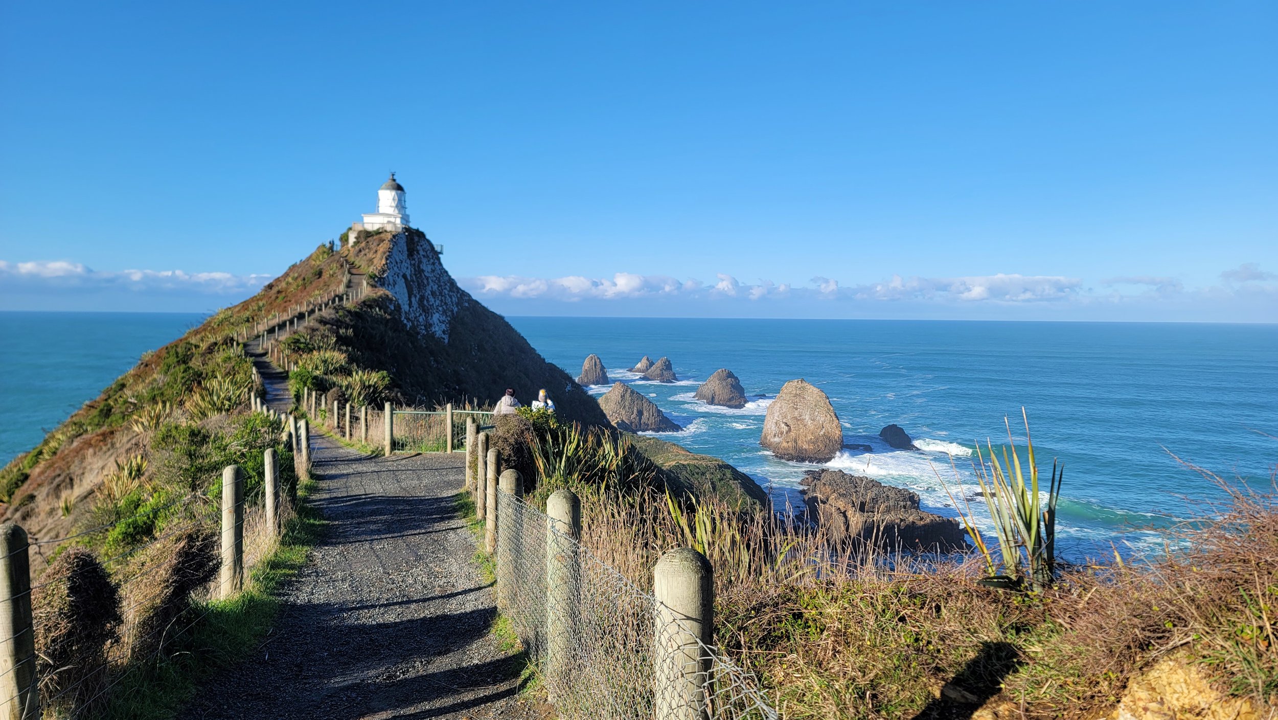  Nugget Point Lighthouse, a detour we took from our itinerary. In the end, we spent eight hours driving because of this detour but it was well worth it. 