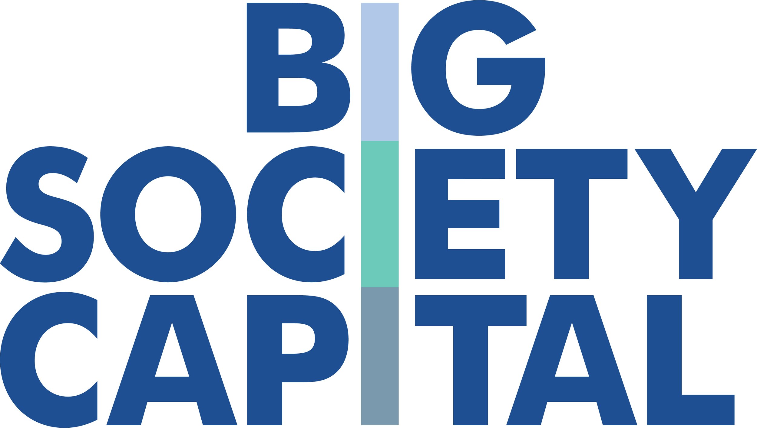 Big Society Capital.png