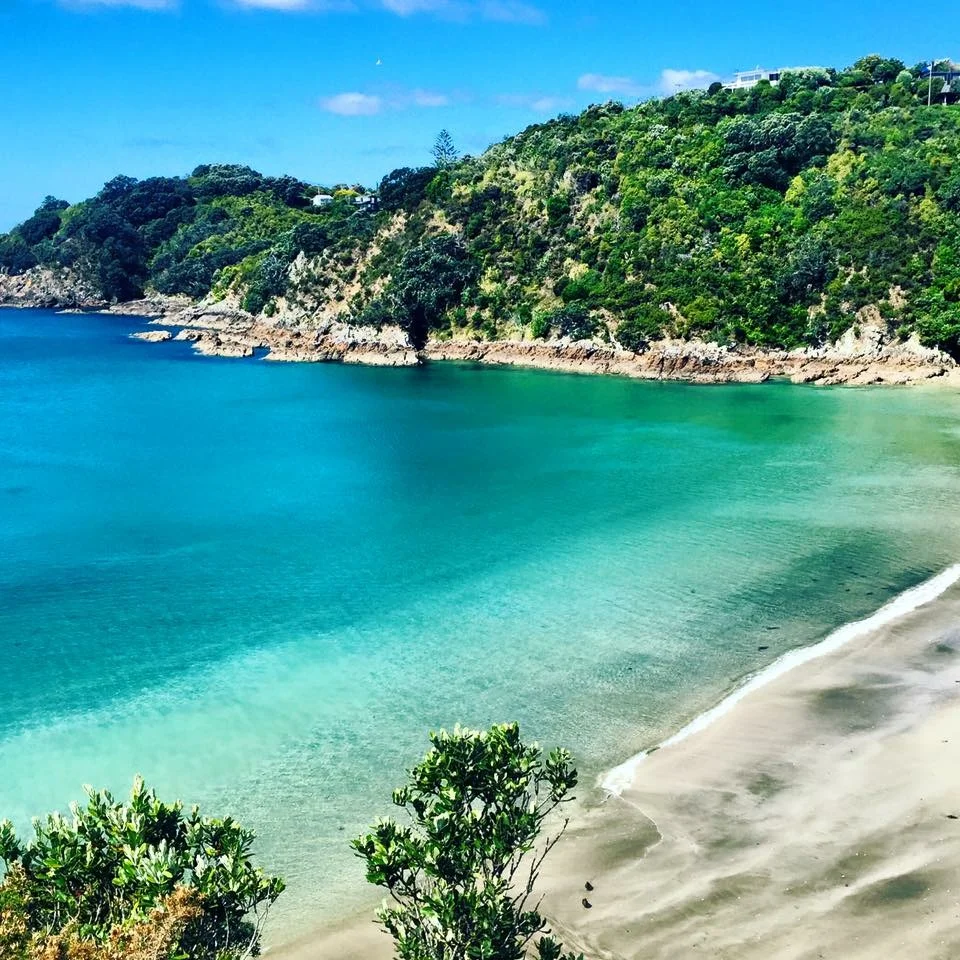 PERSONAL SCENIC TOUR OF WAIHEKE ISLAND