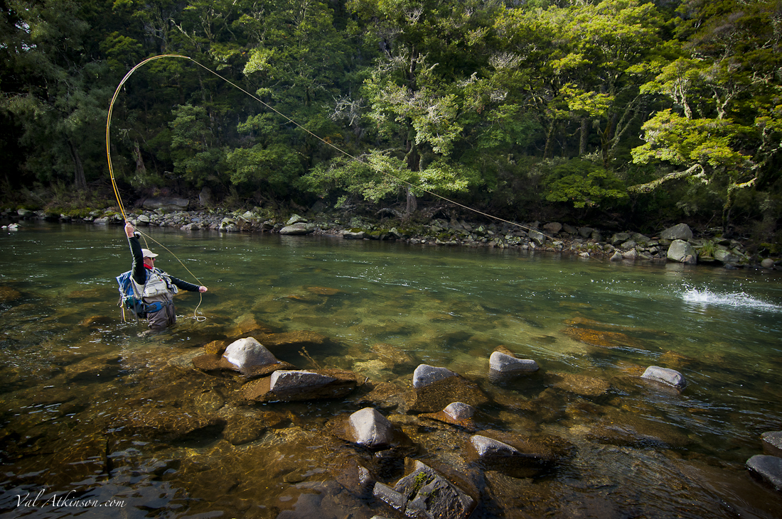 FLY FISHING FROM PORONUI LODGE