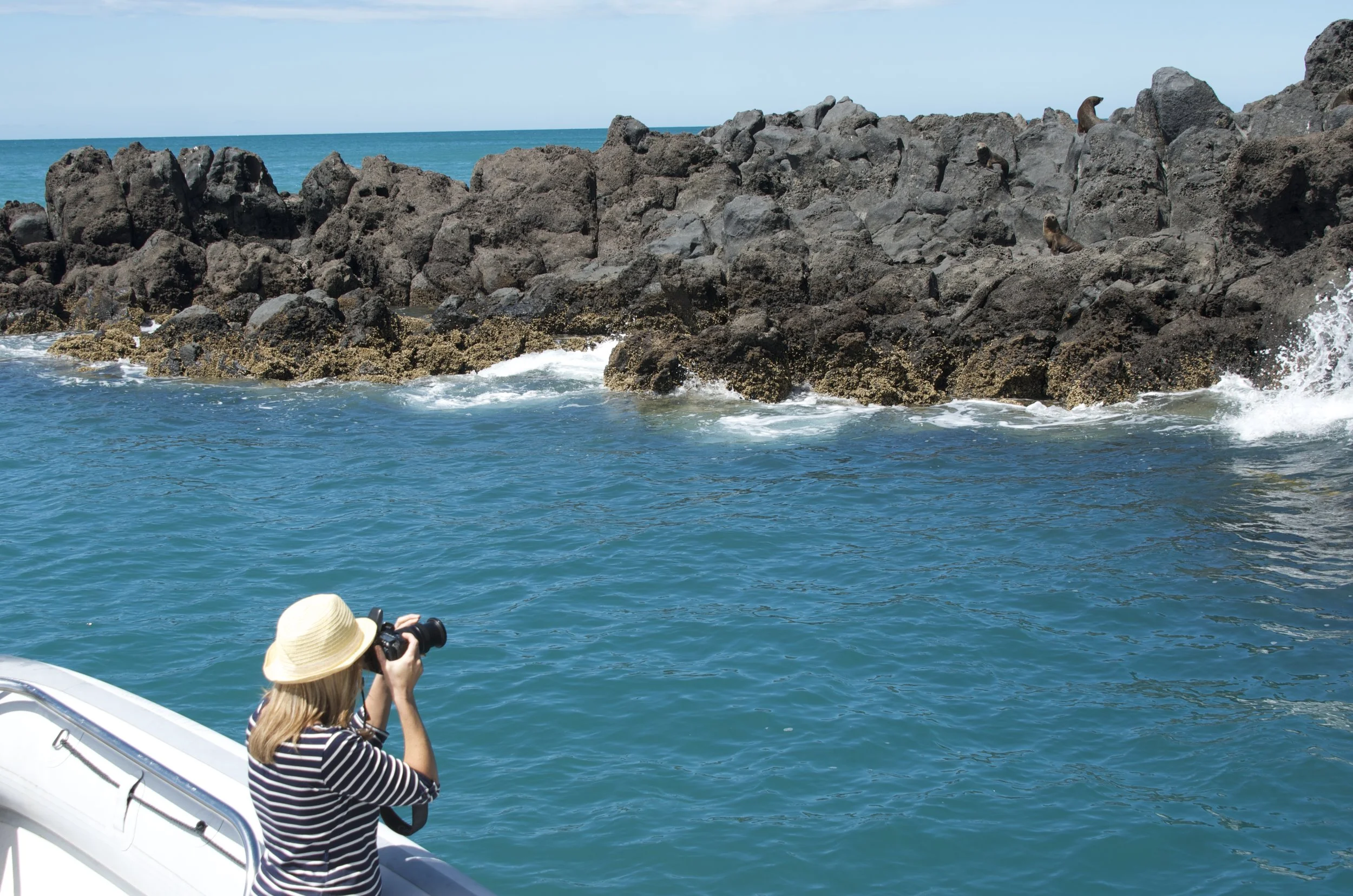 NATURE CRUISES IN AKAROA