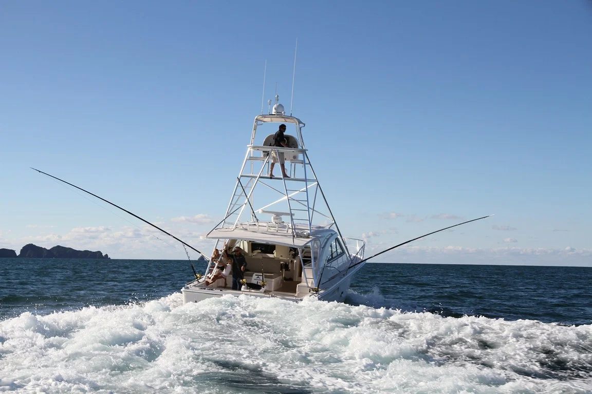 FISHING IN THE BAY OF ISLANDS