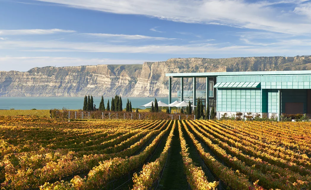 Elephant Hill Winery