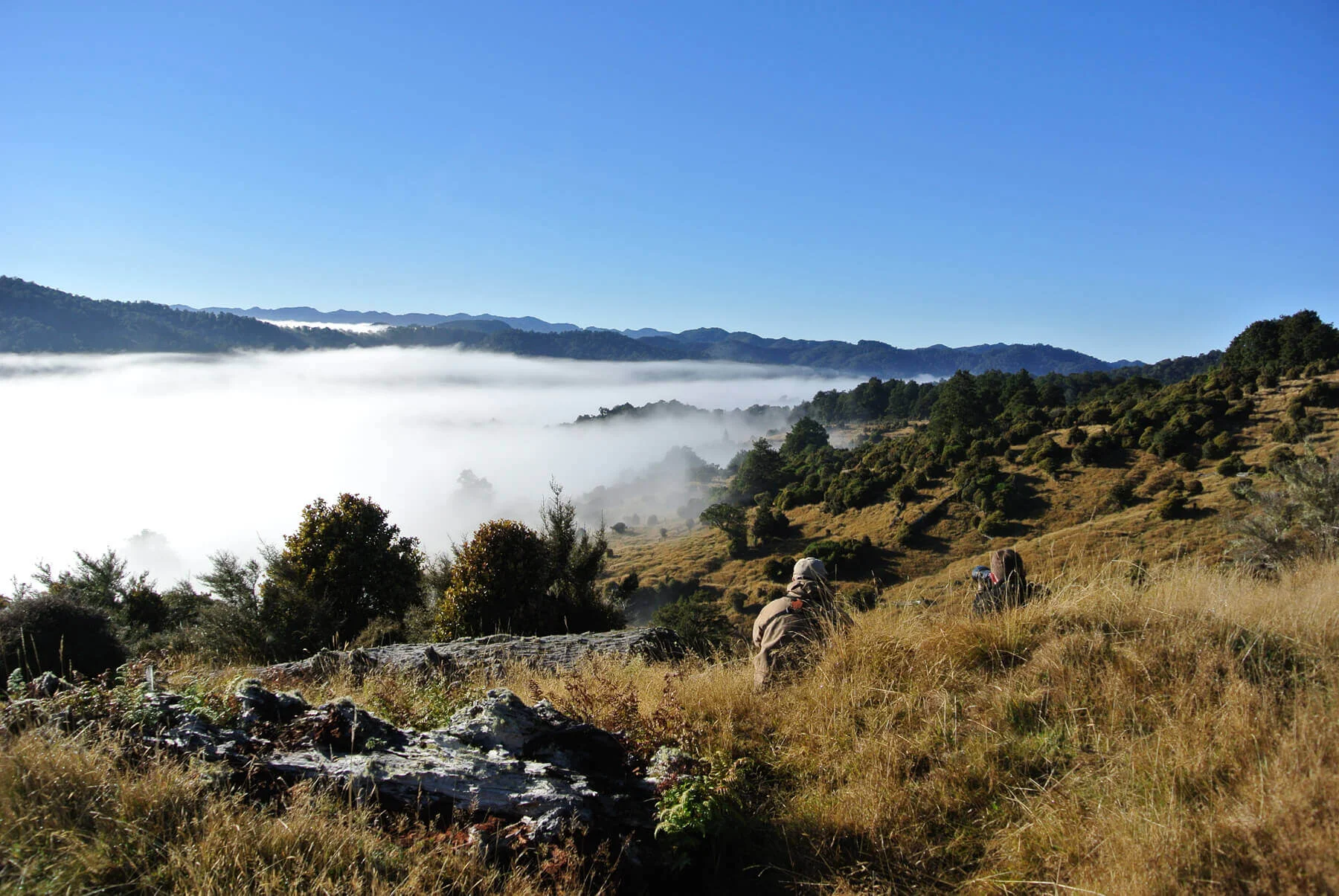 HELI-HUNTING AT PORONUI LODGE