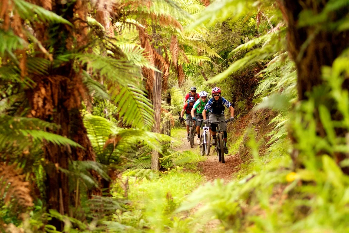 MOUNTAIN BIKING