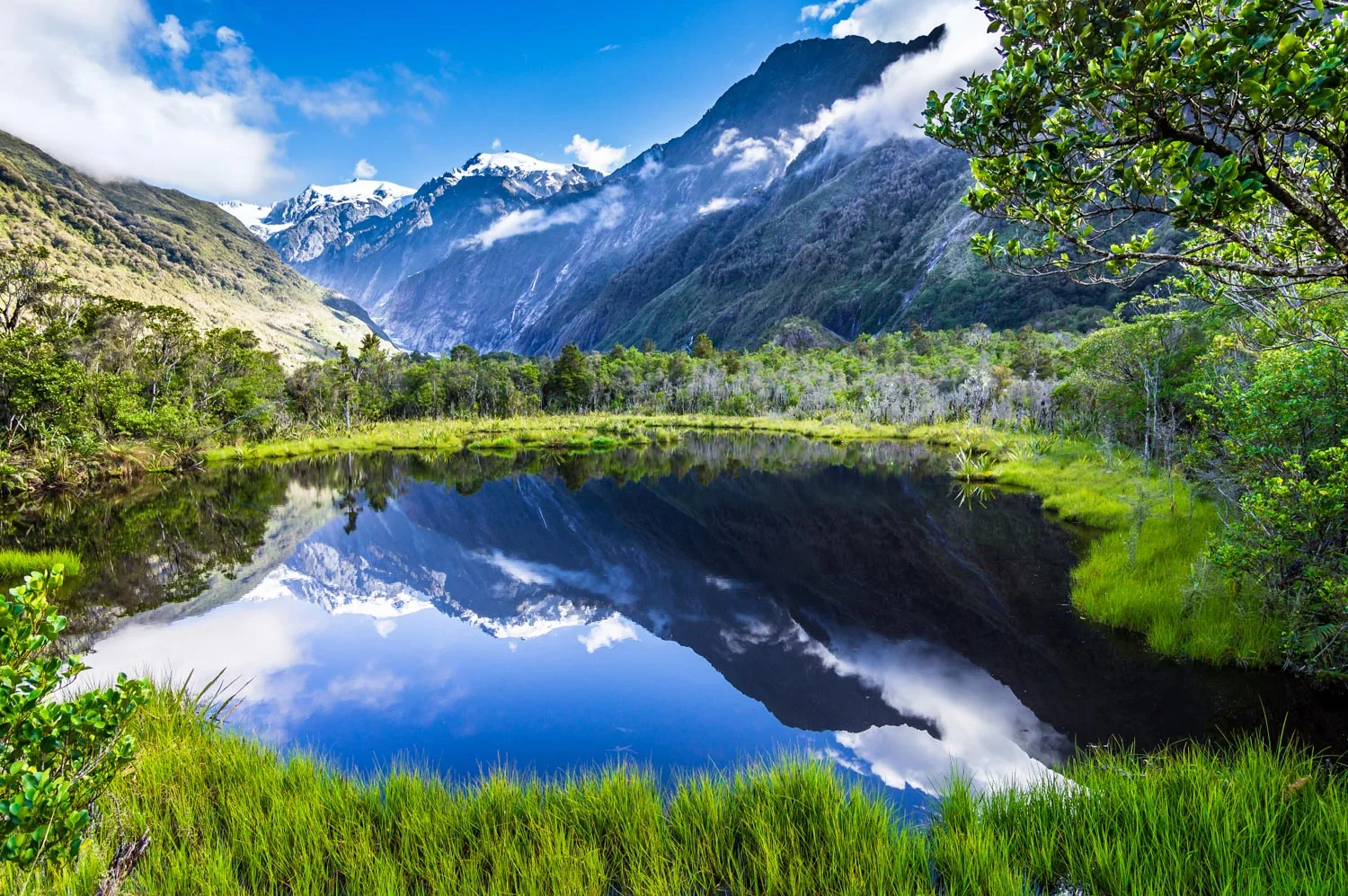 Copy of The quiet lake