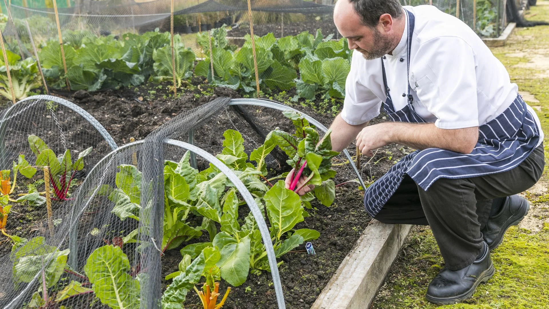 TOUR OF THE FARMS VEGETABLE GARDENS