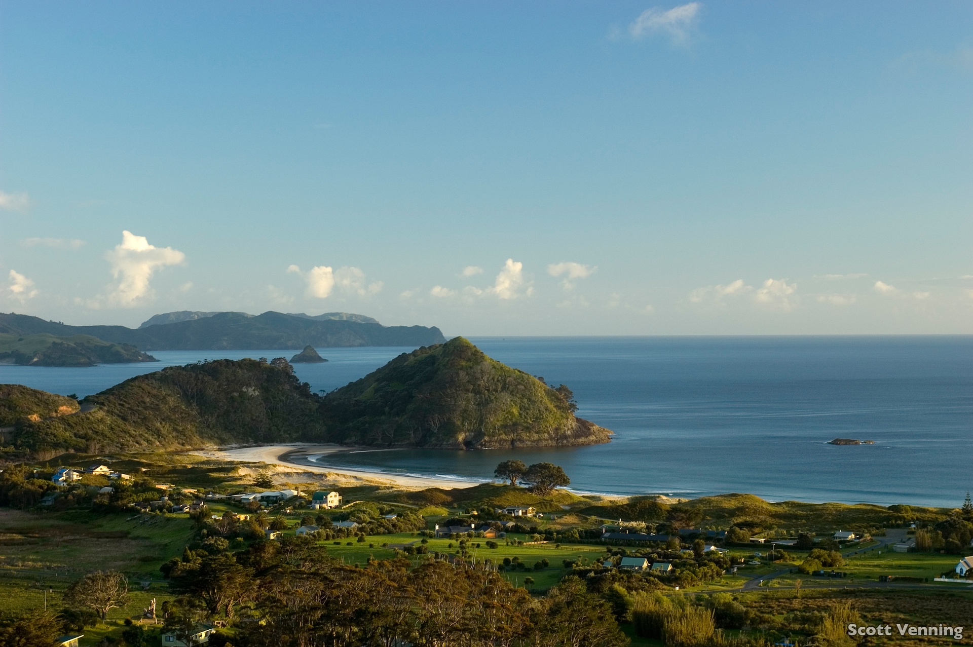L323-Medlands-Beach-Auckland-Scott-Vennin.jpg