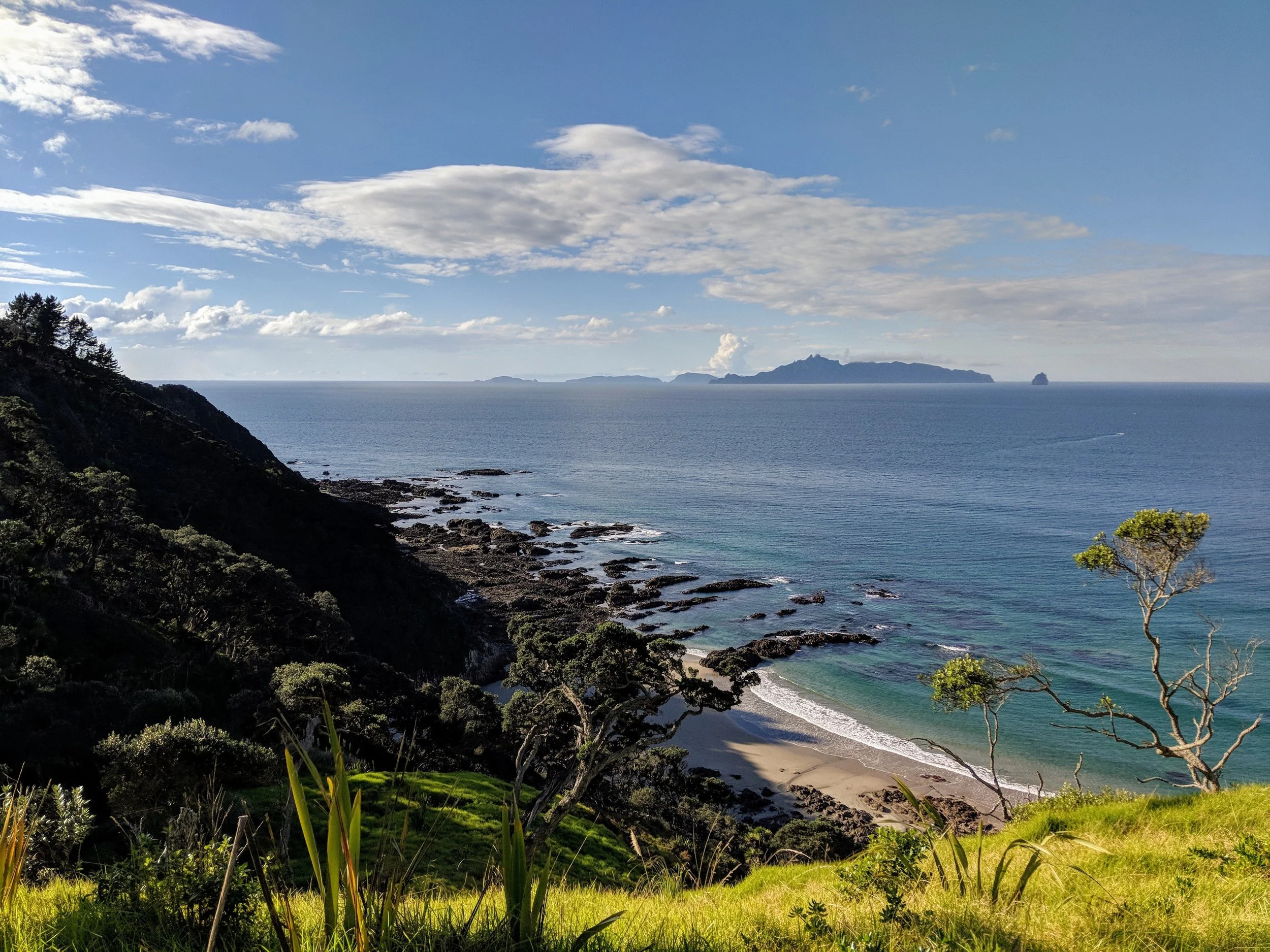 Mangawhai