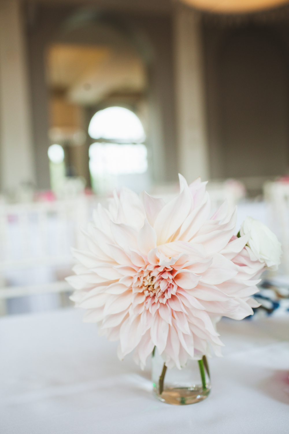 2015CharlotteBatMitzvah_38_IMG_3024.jpg