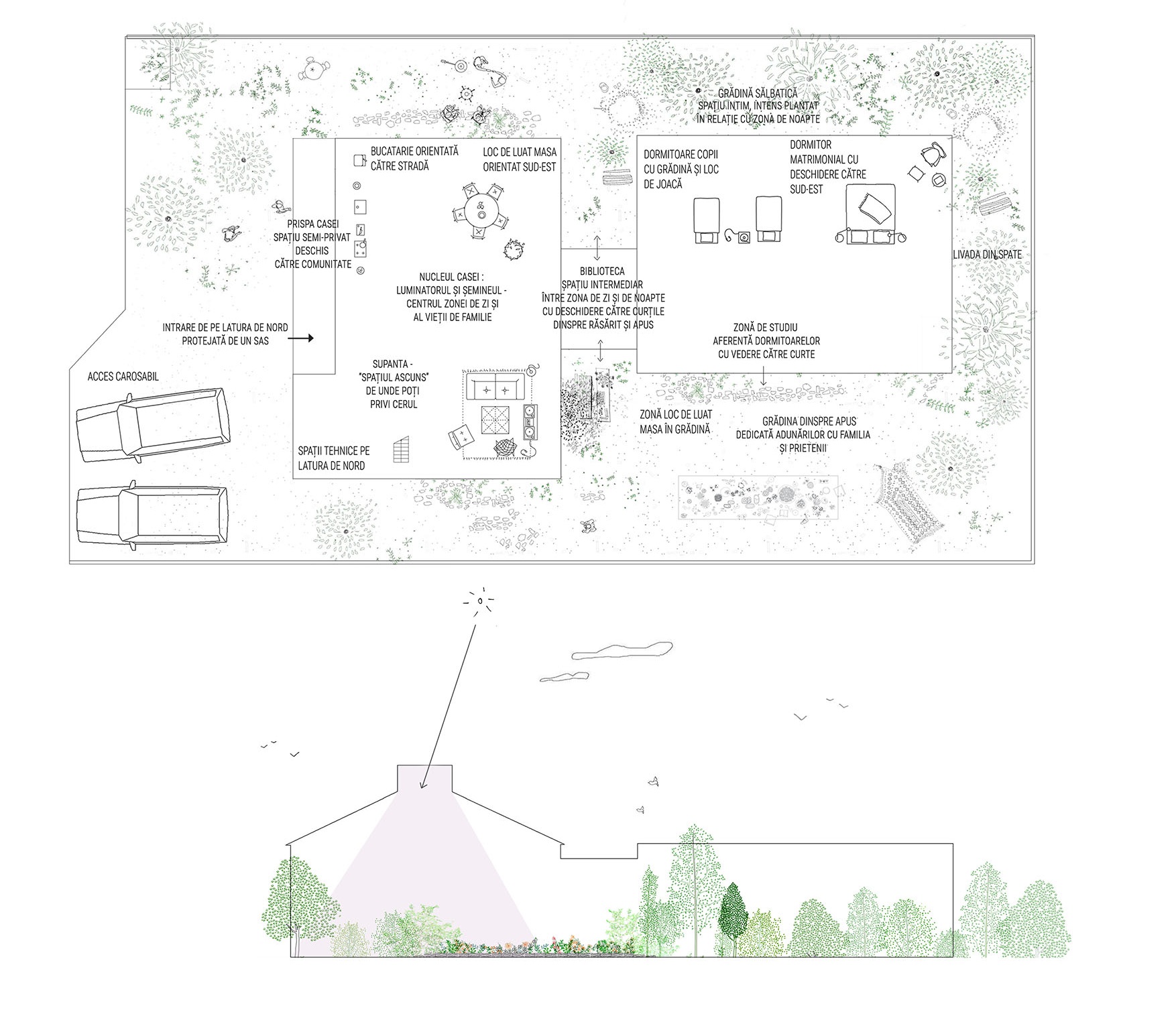 SCHEMA+CASA+FARA+TIMP.jpg
