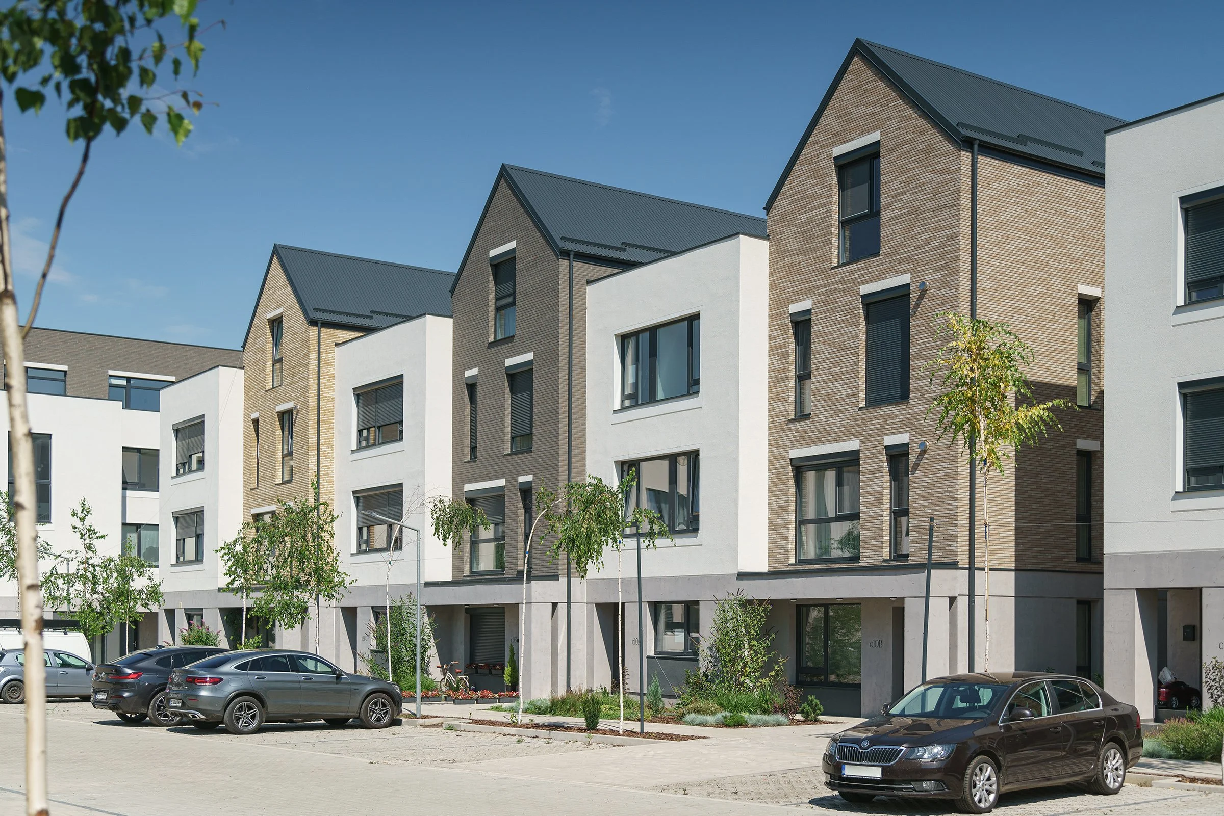 ERAF5_ (32)_web.jpeg