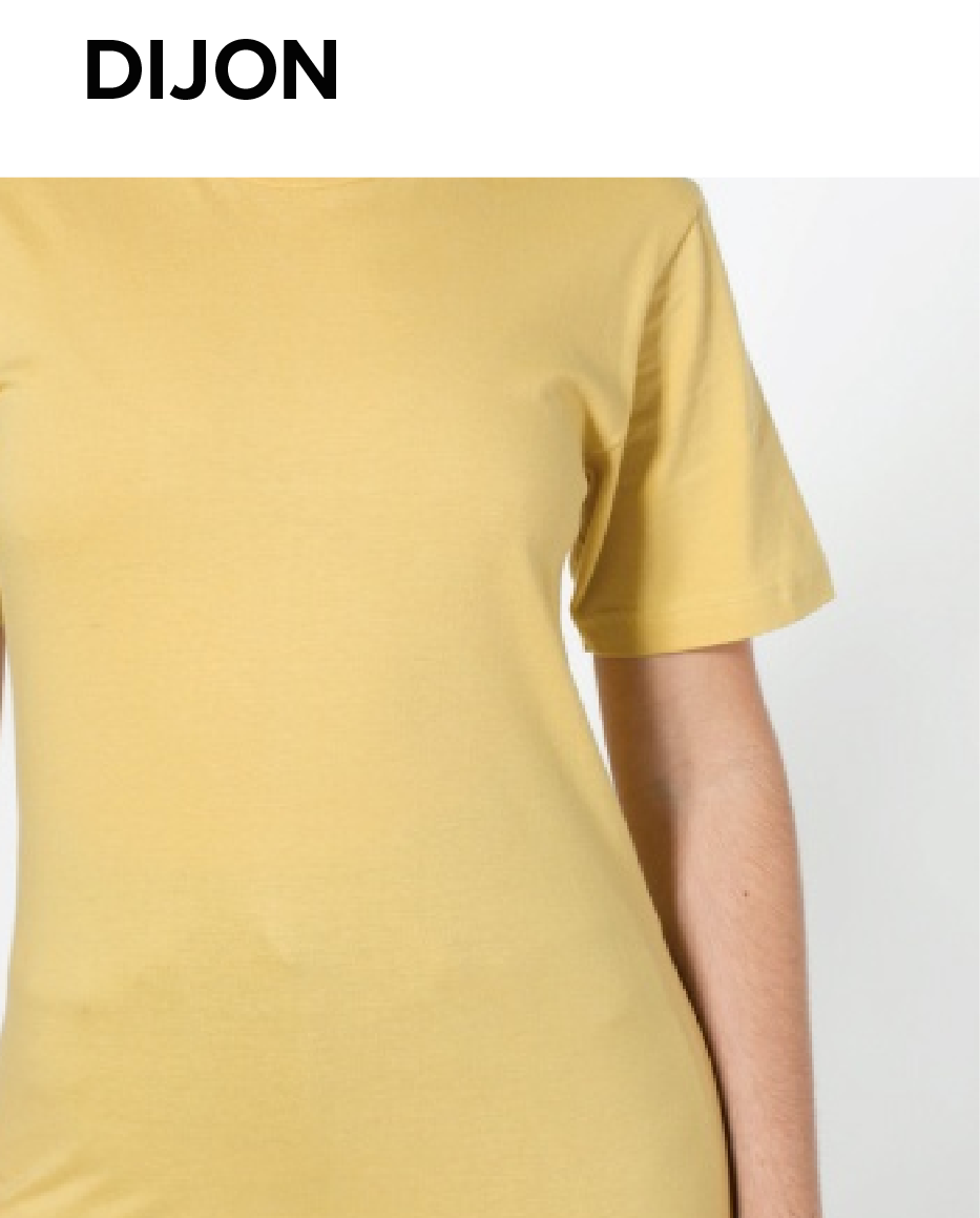 American Apparel dijon.png