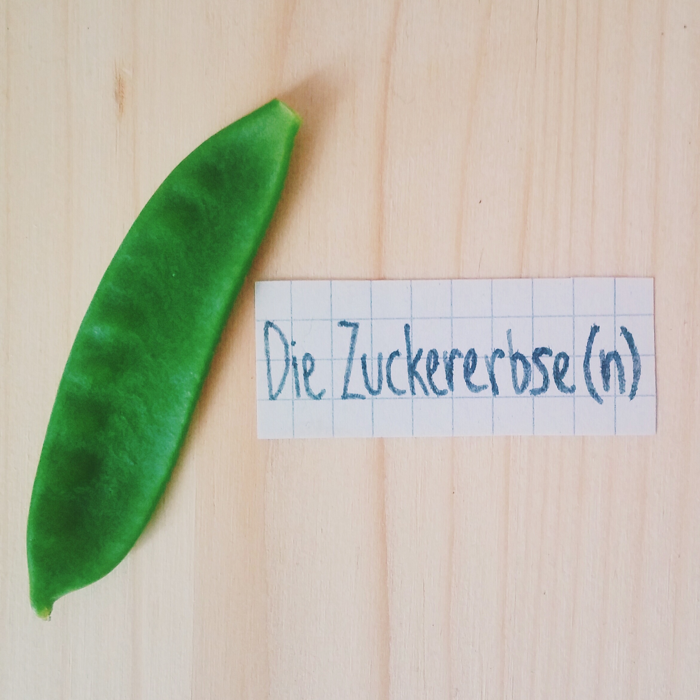 mangetout square.jpg