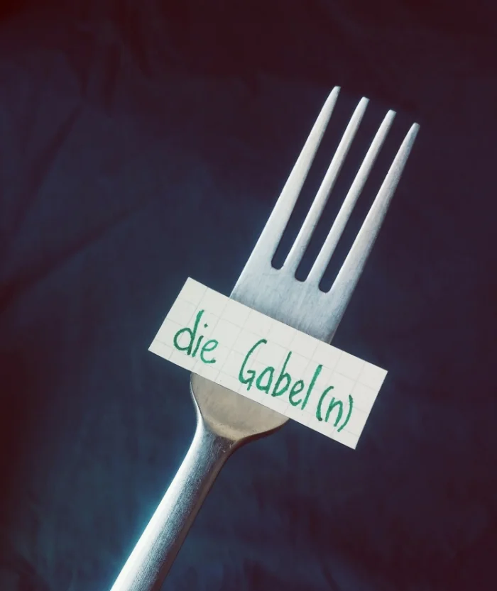 die Gabel
