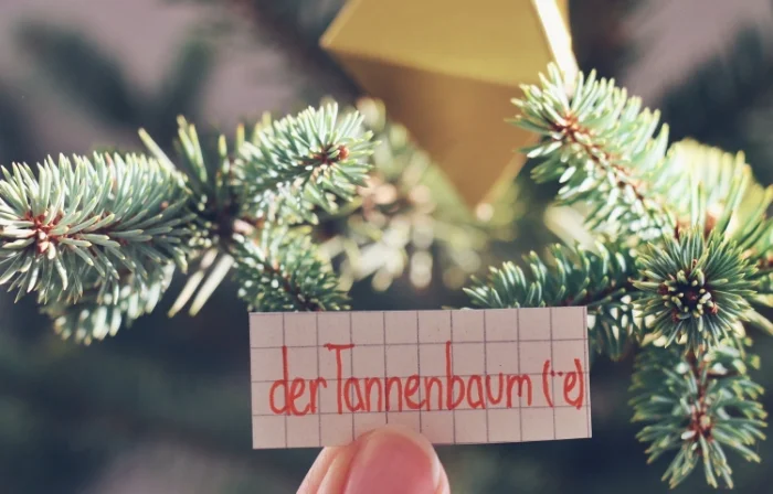 der Tannenbaum