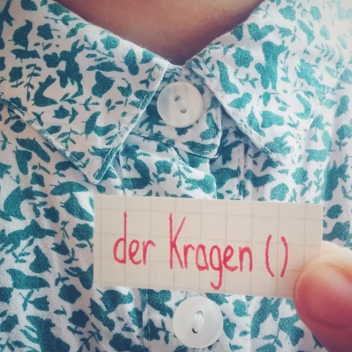 der Kragen