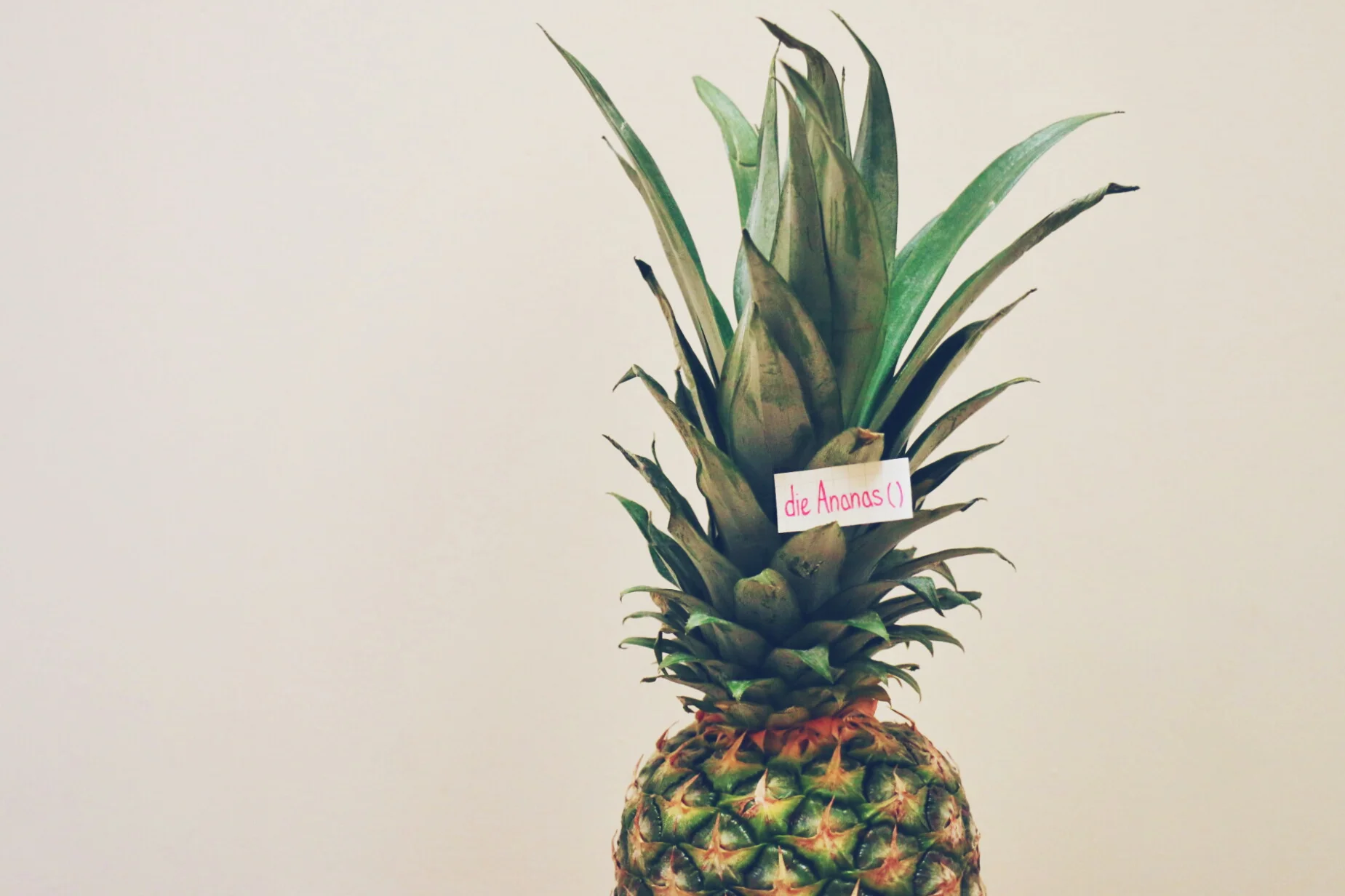 die Ananas