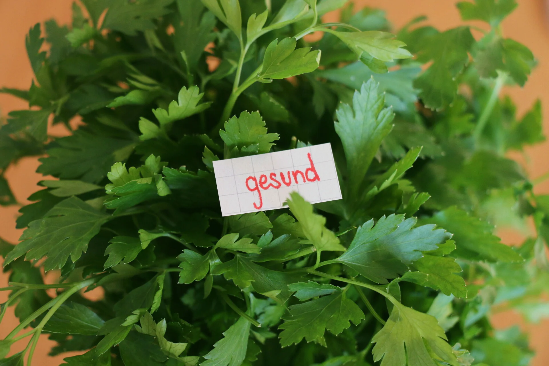 My detox starts tomorrow