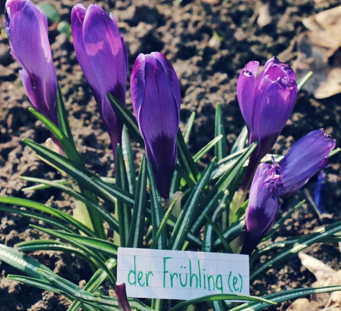 spring 3.jpg