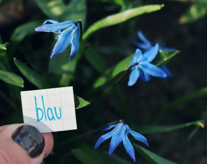 blau