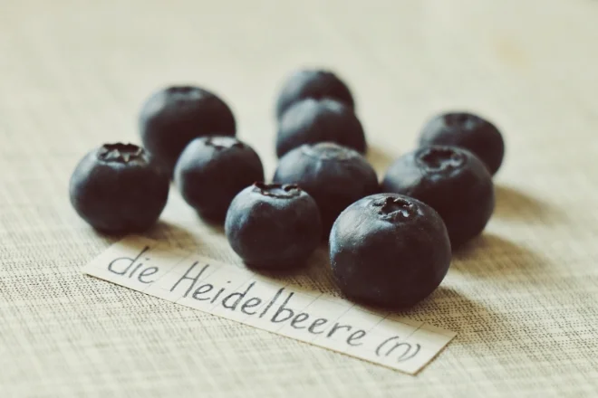 die Heidelbeere
