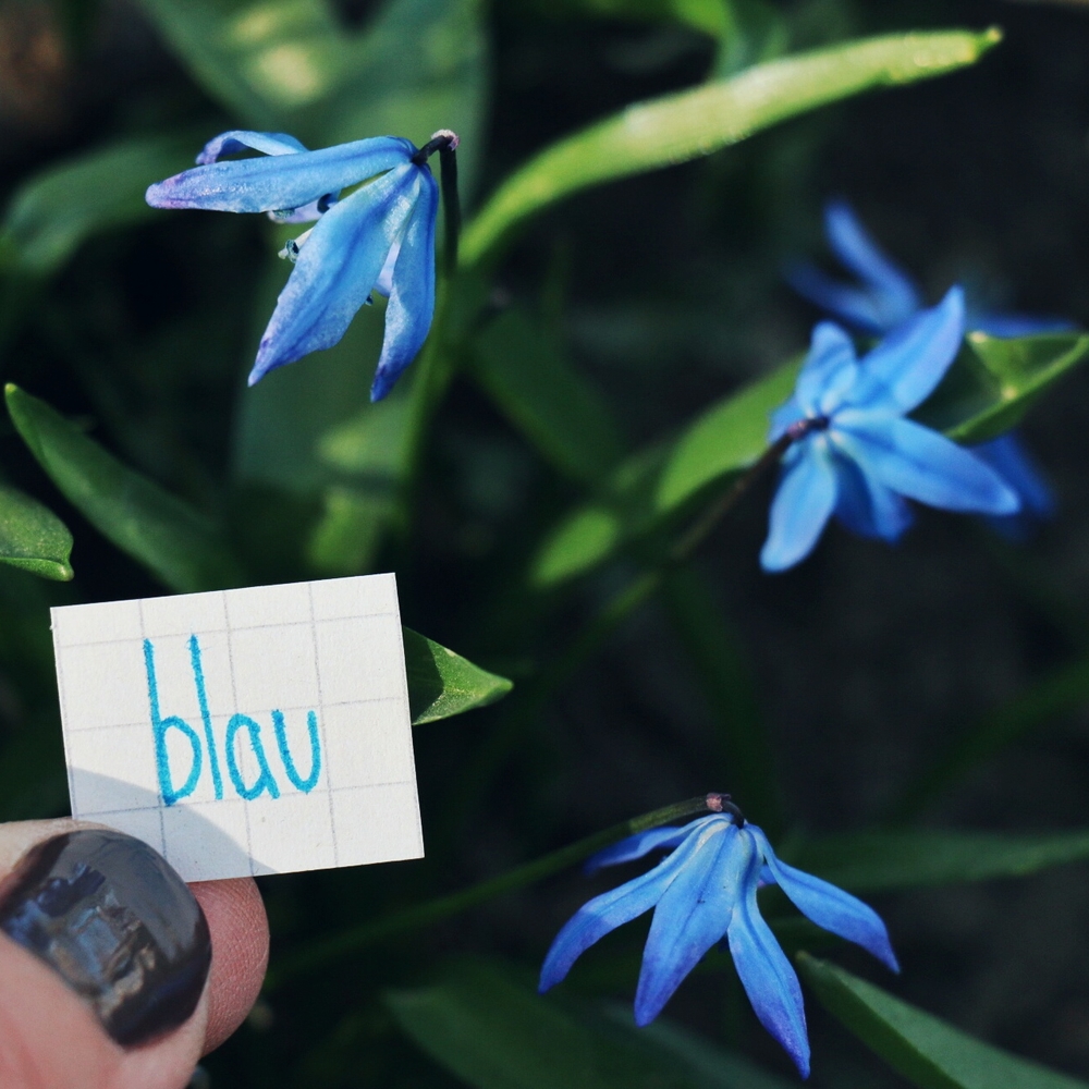 blau - blue