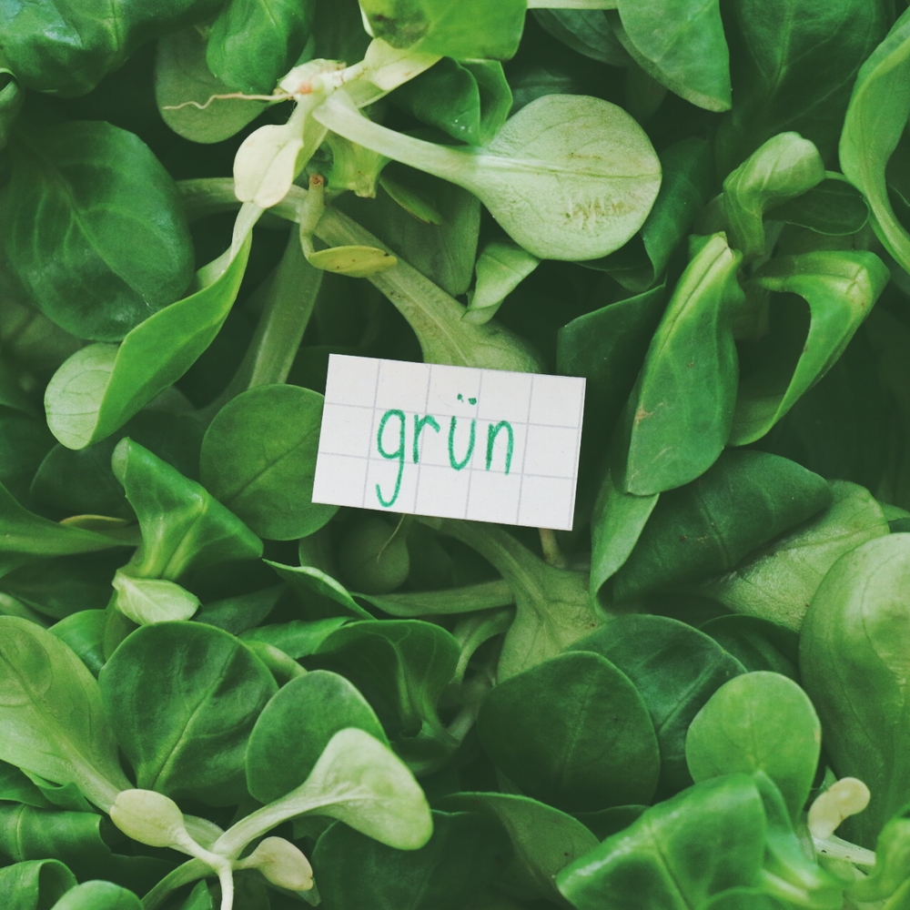 grün - green