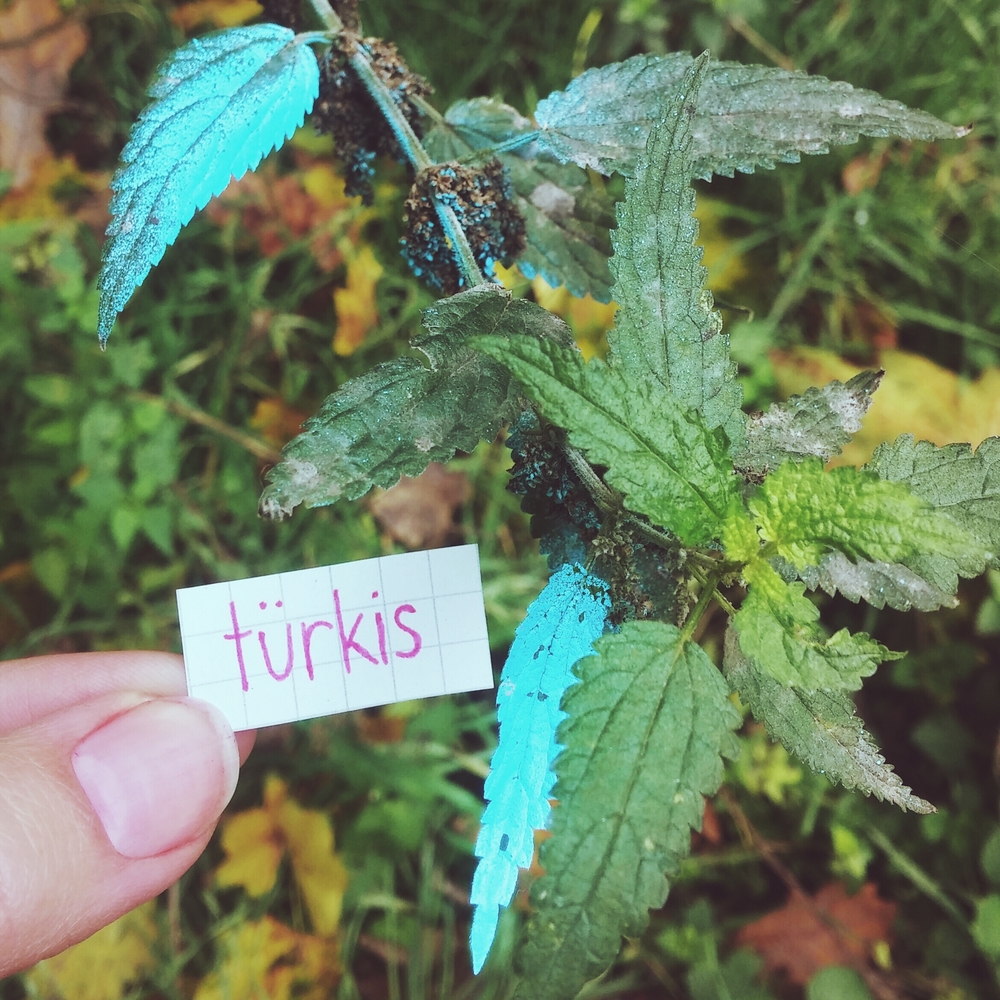 türkis - turquoise