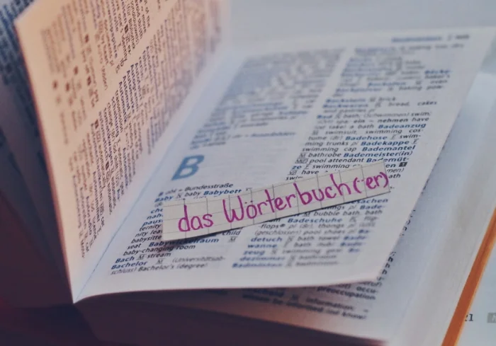 das Wörterbuch