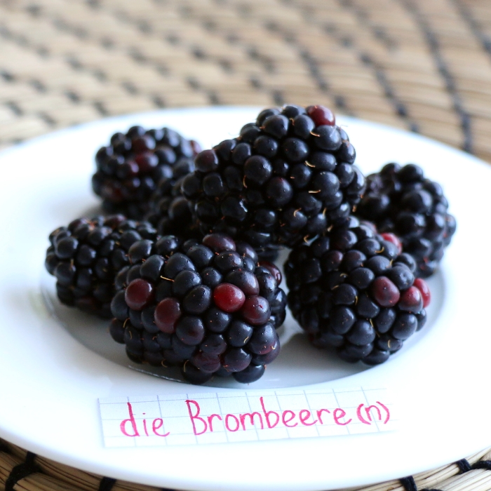 die Brombeere - blackberry