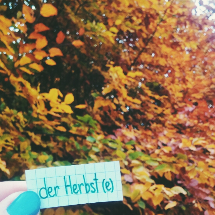 der Herbst - Autumn