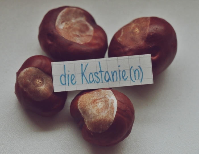 die Kastanie - chestnut