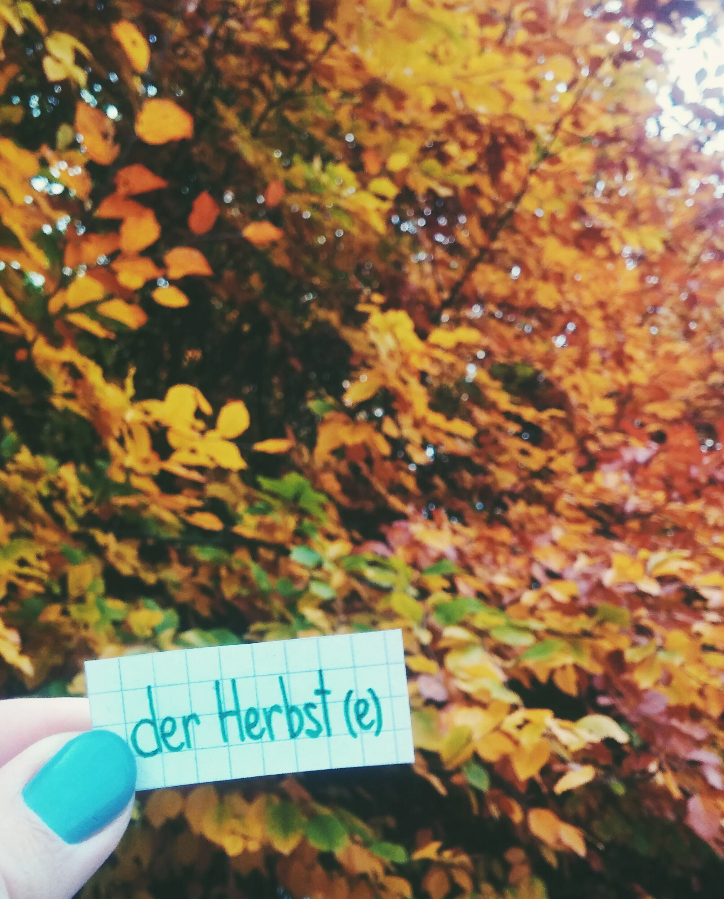 The tell-tale signs of Autumn