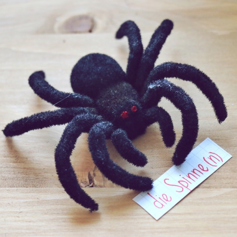 die Spinne - Spider