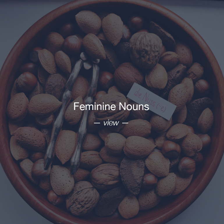 Feminine nouns