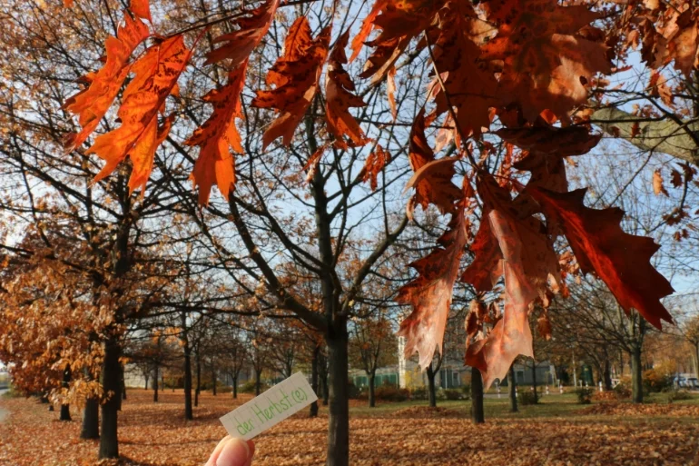 der Herbst