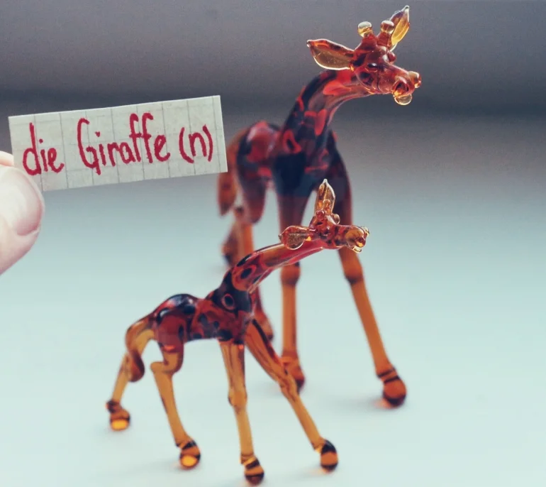 die Giraffe
