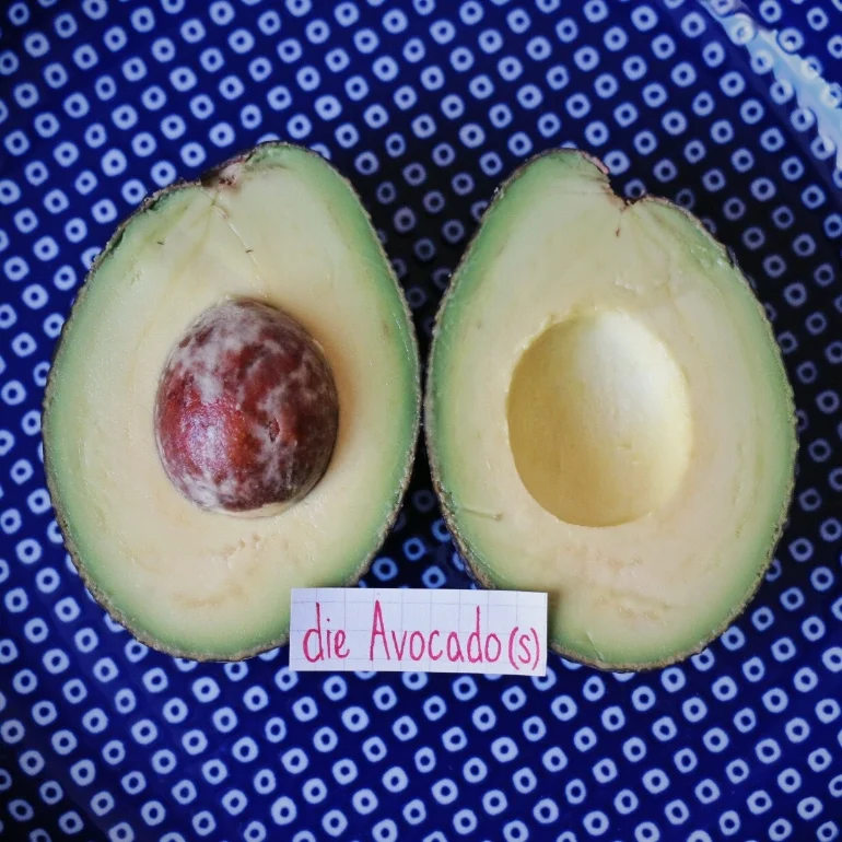 die Avocado