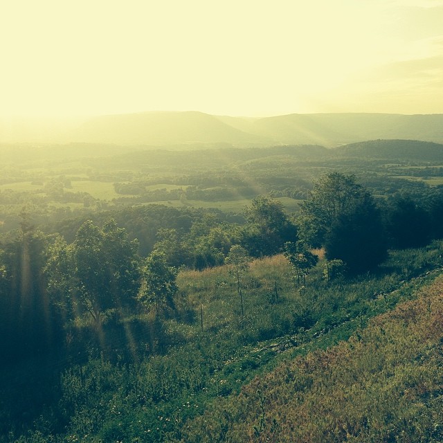 My Why: A Note from New Office Manager Hannah Shadrick