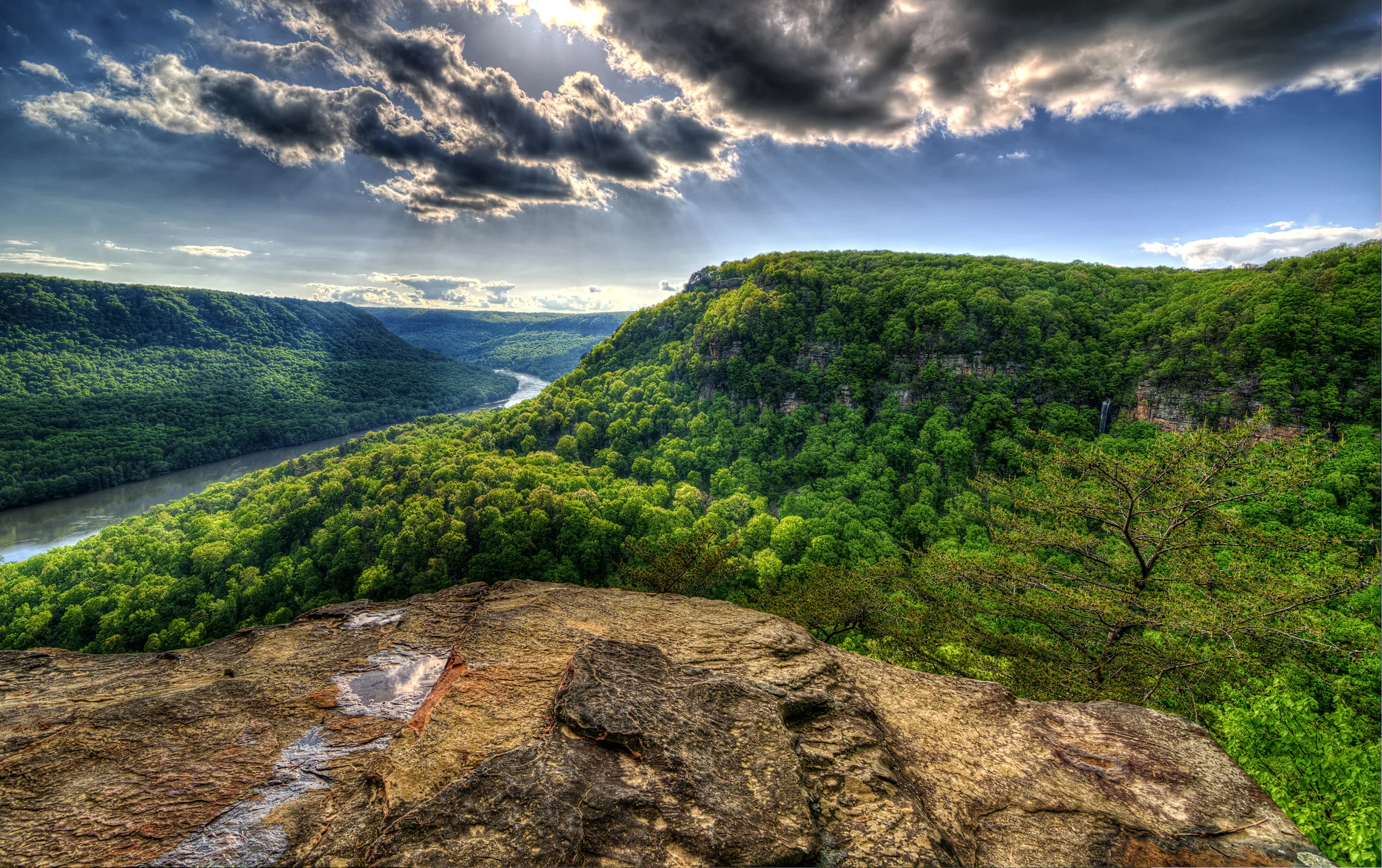 Dreaming in Green: Our Need for Nature