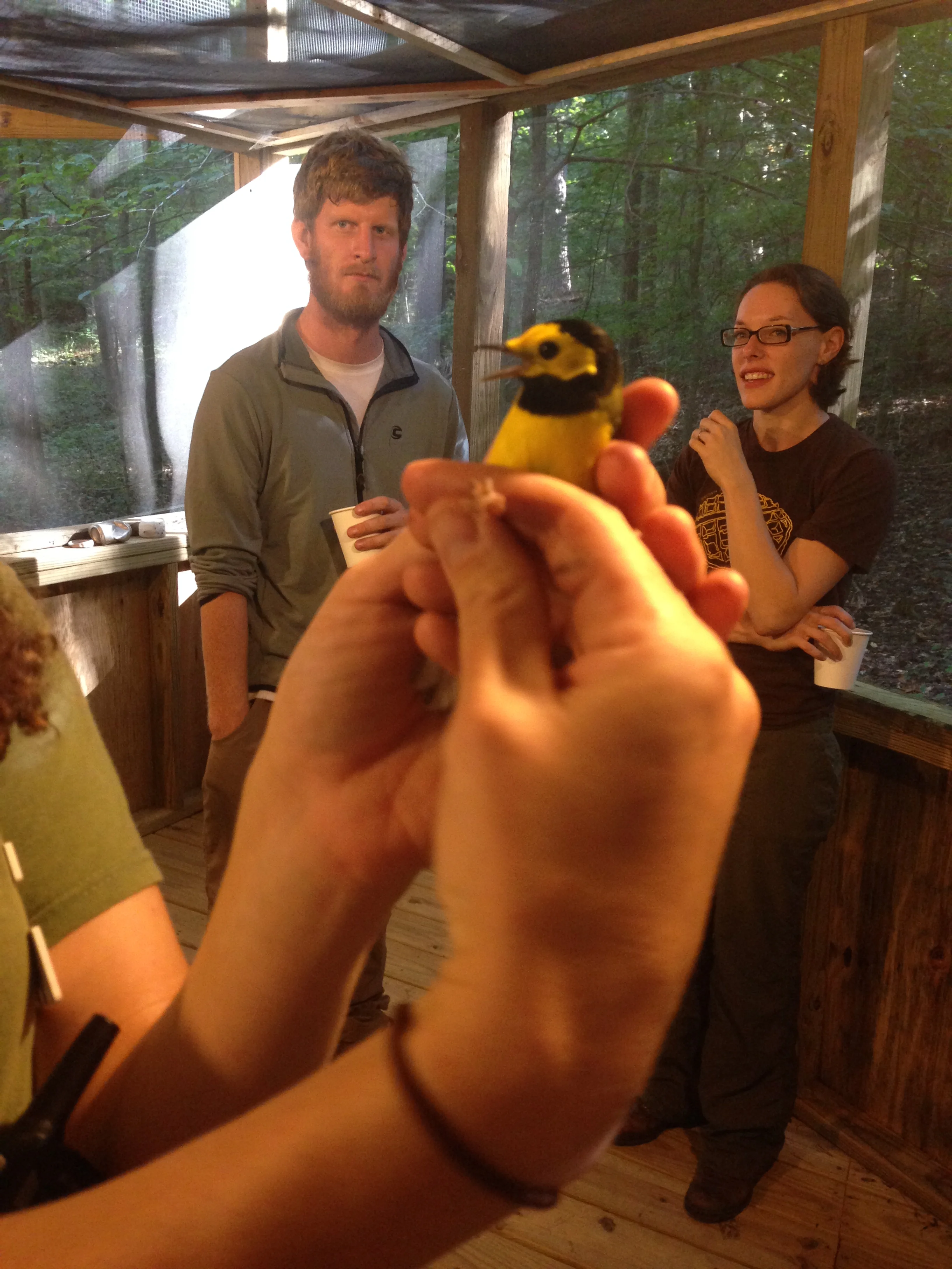 image15.jpeg