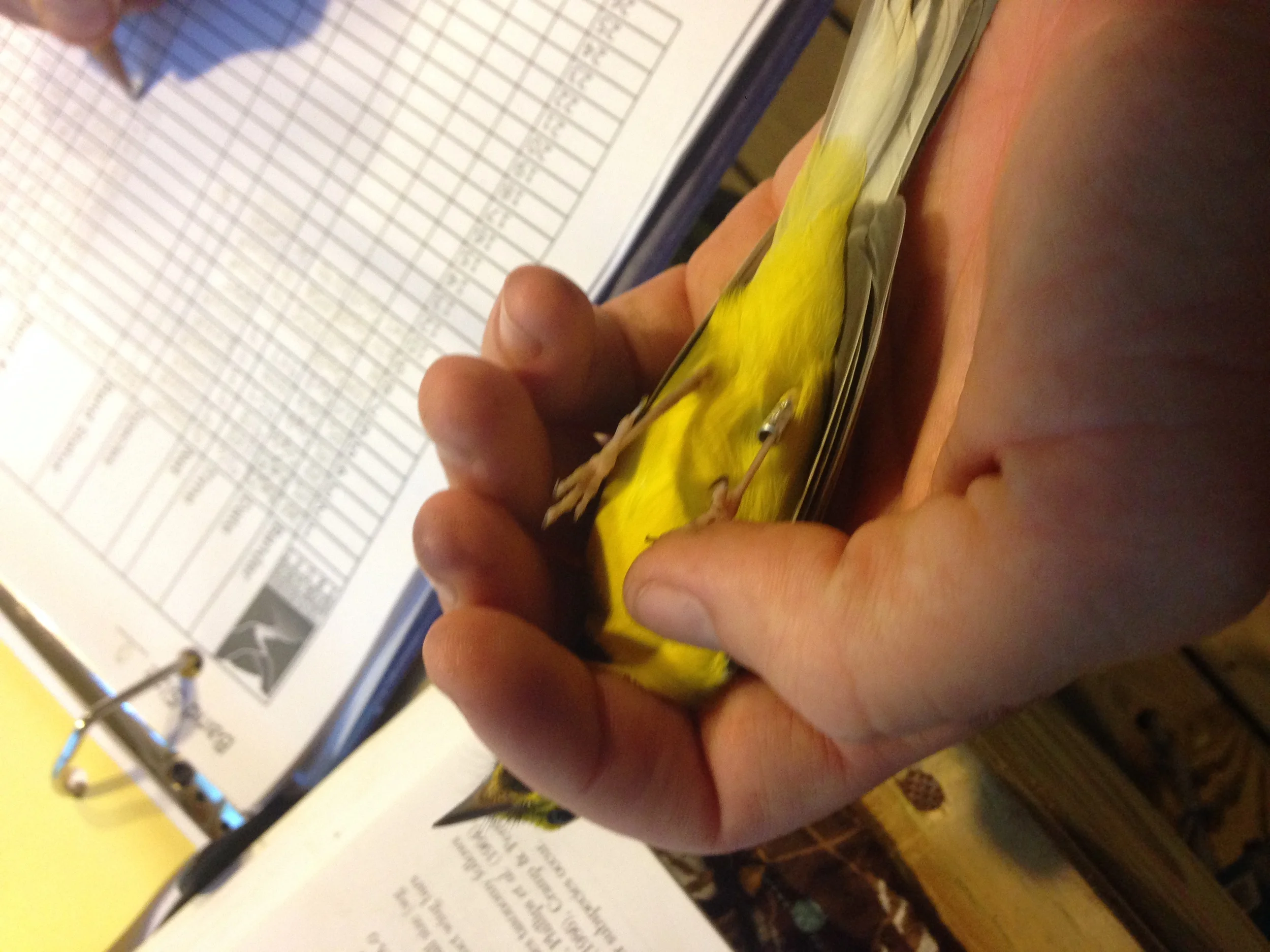 image16.jpeg