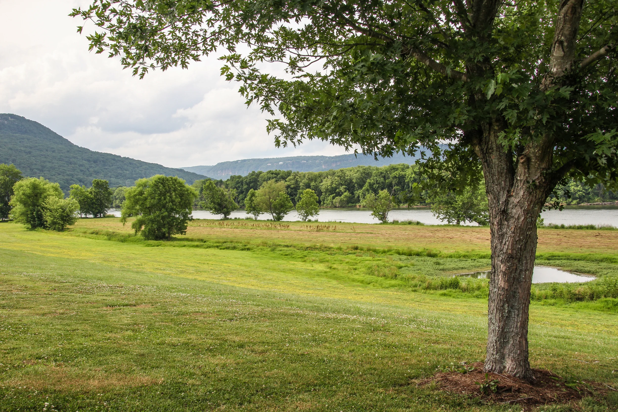 Individual Ticket for Another Gorgeous Evening 2015