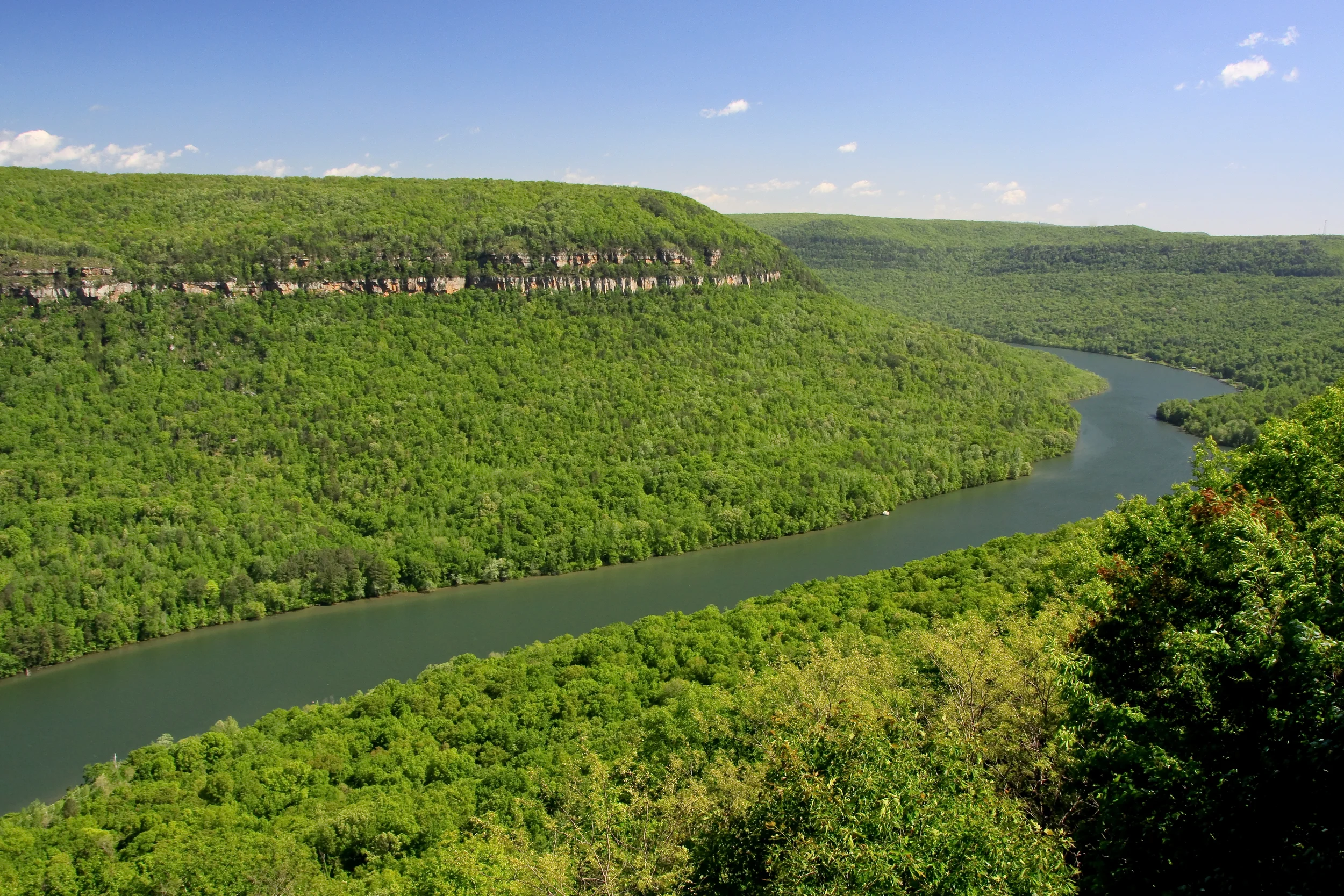 Thursday, December 1: Lunch & Learn at Puckett's Downtown